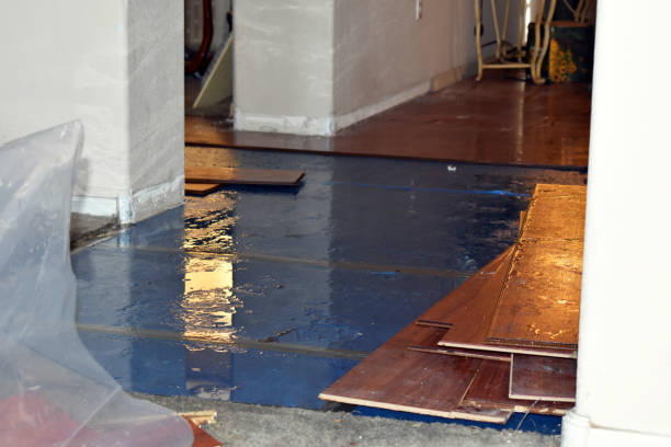 Professional Water Damage technician working in Highlands, NJ